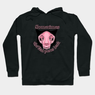 Sometimes the void purrs back Hoodie